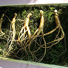 crea-il-tuo-shampoo